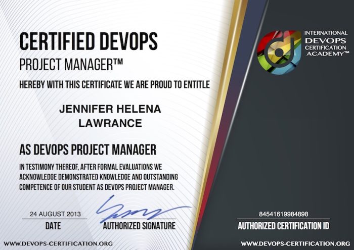 DevOps Project Manager