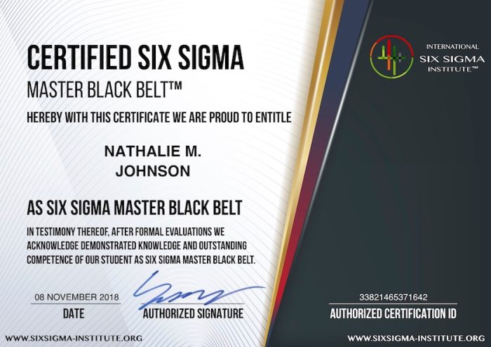 Six Sigma Master Black Belt