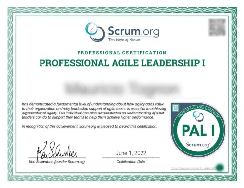 Professional Agile Leadership